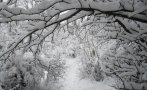 meteo balkans страховито предупреждение обстановката влошава очаква снежна покривка заледявания