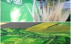 фермерите възможност намерят изгодно площи пролетната кампания