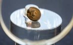 уникална находка ученик намери монета древна троя
