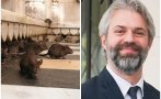 уикенда гнус плъхове плъзнаха варна благо коцев