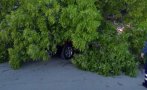 дървета паднаха четири коли шумен
