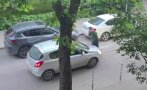 самозабравилият мирчев целува ръце дара