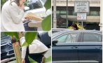 пик брутално нахалство лена продължава ползва паркинга парламента свой обикаля закусвални кафенета снимки