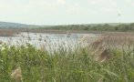 шест хиляди декара земеделски земи русенско станаха блато
