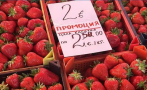 ягоди евро килограм продават събота пазара пловдив