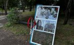 метален баскетболен кош падна игрище пълно деца кметицата красно село влезе обяснителен режим