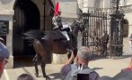драма бъкингам кон кралската гвардия изпадна паника заради жегата