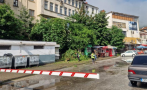 мълния повали дърво автогарата смолян
