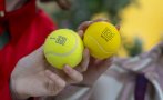 известни лица аплодираха григор димитров стефанос циципас първия ред