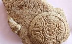 разкриха подробности новото ценно откритие хераклея синтика