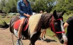 фолкпевецът илиян изпаднал безсъзнание инцидент кон