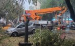 сигнала лятната буря пловдив