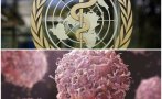 късен шокиращ доклад сзо случаите рак увеличат близо 2050
