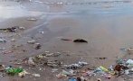 гнусно дамски превръзки тоалетна хартия изплуваха плаж варна