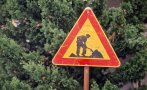 забраняват месец престоя паркирането хан аспарух софия
