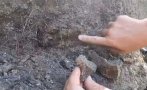 кост динозавър милиона години откриха трън