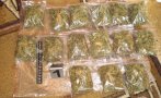 спипаха голямо количество марихуана старозагорско