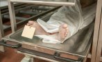извращение съдят управителя моргата харвард разчленявал продавал трупове черния пазар