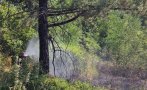 локализиран пожарът планината славянка