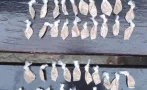 нова акция столипиново фентанила арестуван опасния наркотик
