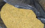 близо 200 тютюн машина рязане откриха столипиново