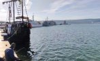 рибарите искат адекватна подкрепа заради ударите черно море