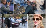 горещо пик призна свидетелят подаде фалшиви показания колтуклиева канел работи министерски съвет