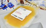 ПОКЛОН: Над 1000 дариха кръвна плазма за лечение на COVID-19