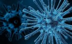 Испания регистрира нови рекорди при новите случаи на коронавирус