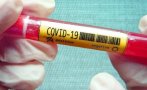 Първа положителна проба за коронавирус от ноември насам в Нова Зеландия