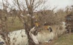 Придошли води на р. Средецка качиха тонове боклуци по дърветата