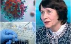 Проф. Нели Корсун: Британският щам на COVID-19 циркулира в страната и без да има контакт с други държави
