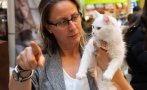 Гримьорката на звездите Силвия Стойчева: Да изхвърлиш котка е все едно да изхвърлиш дете или възрастен родител (СНИМКИ)