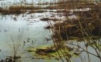 Удължават бедственото положение в село Димчево Удължават бедственото положение в село Димчево