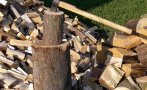 Незаконна дървесина откриха в три имота в Омуртаг