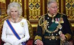 НАЗРЯВА КРАЛСКИ СКАНДАЛ: Чарлз III иска да лиши от трона своя син, брат си и племенницата