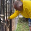 първо пик премиерът борисов прибра вкъщи посрещна верният приятел видео снимки