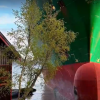 товарен кораб заседна двора норвежец видео