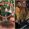 помните фикуса парламента крие снимки