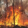 бедствие пожар лумна гръцката част родопите