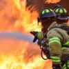 арестуваха американски пожарникари докато борят огъня били мигранти