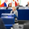 елена йончева категорично неправителствените организации заместват демократичните институции