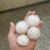 градушка размери мандарина удари трявна видео