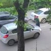 самозабравилият мирчев целува ръце дара