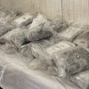 топ удар данс митниците прокуратурата заловен кокаин млн евро снимки